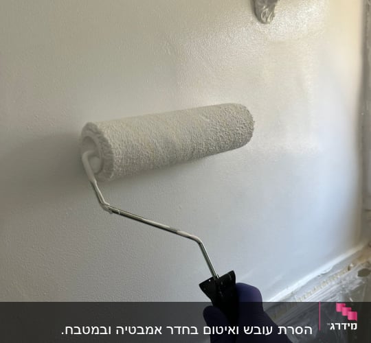 גליל צבע על קיר עם כפפה כחולה